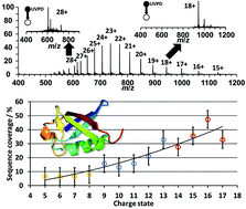 Graphical abstract: Influence of protein ion charge state on 213 nm top-down UVPD