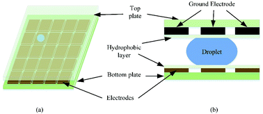 Graphical abstract: A design method based on Bayesian decision for routing-based digital microfluidic biochips