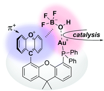 Graphical abstract: Isolation and reactivity of a gold(i) hydroxytrifluoroborate complex stabilized by anion-π+ interactions