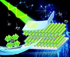 Graphical abstract: 2D Hybrid perovskite incorporating cage-confined secondary ammonium cations toward effective photodetection