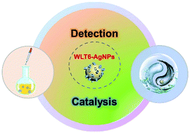 Graphical abstract: Silver nanoparticles modified by water-soluble leaning tower[6]arenes for sensing and catalysis