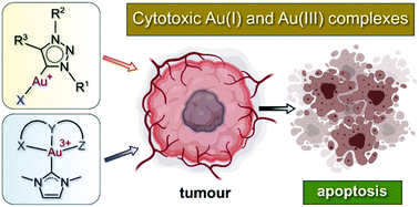 Graphical abstract: Cancer molecular biology and strategies for the design of cytotoxic gold(i) and gold(iii) complexes: a tutorial review