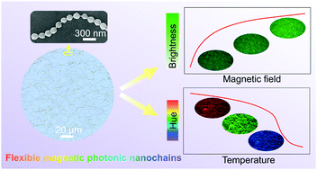 Graphical abstract: A dual responsive photonic liquid for independent modulation of color brightness and hue