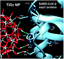 Graphical abstract: Site-specific recognition of SARS-CoV-2 nsp1 protein with a tailored titanium dioxide nanoparticle – elucidation of the complex structure using NMR data and theoretical calculation