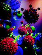 Graphical abstract: A novel phage display based platform for exosome diversity characterization