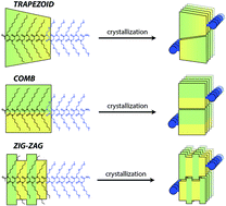 Graphical abstract: Crystallization and self-assembly of shape-complementary sequence-defined peptoids