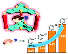 Graphical abstract: Guest-boosted phosphorescence efficiency of a supramolecular cage