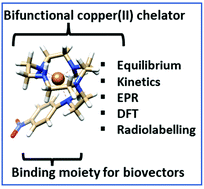 Graphical abstract: Exceptionally fast formation of stable rigidified cross-bridged complexes formed with Cu(ii) isotopes for molecular imaging