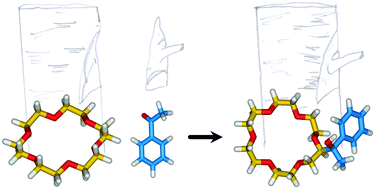 Graphical abstract: Direct synthetic routes to functionalised crown ethers