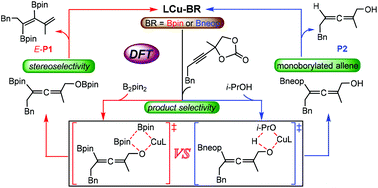 Graphical abstract: Diboron-controlled product selectivity switch in copper-catalyzed decarboxylative substitutions of alkynyl cyclic carbonates