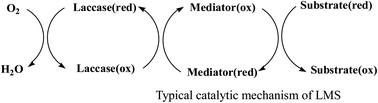 Graphical abstract: Recent developments of a co-immobilized laccase–mediator system: a review