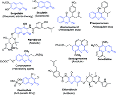 Graphical abstract: 3-(Bromoacetyl)coumarins: unraveling their synthesis, chemistry, and applications