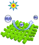 Graphical abstract: Enhanced photocatalytic hydrogen production of MoS2 sheet/carbon nanofiber using rapid electron transport of Mo6+ and carbon nanofiber