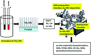 Graphical abstract: Materials characterization of TiO2 nanotubes decorated by Au nanoparticles for photoelectrochemical applications
