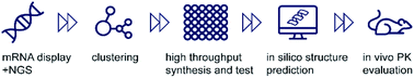 Graphical abstract: An integrated platform approach enables discovery of potent, selective and ligand-competitive cyclic peptides targeting the GIP receptor