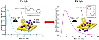 Graphical abstract: Bioinspired photo-responsive membrane enhanced with “light-cleaning” feature for controlled molecule release