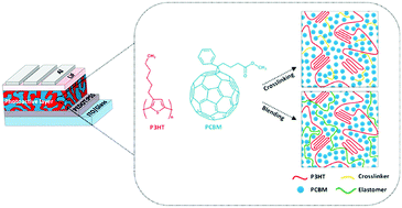 Graphical abstract: Versatile methods for improving the mechanical properties of fullerene and non-fullerene bulk heterojunction layers to enable stretchable organic solar cells