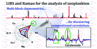 Graphical abstract: A novel approach for discovering correlations between elemental and molecular composition using laser-based spectroscopic techniques