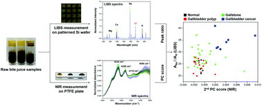 Graphical abstract: Combination of LIBS-based elemental analysis and near-infrared molecular fingerprinting of bile juice to enhance identification of gallbladder cancer