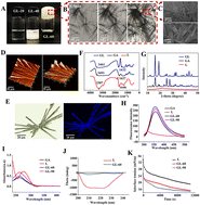 Graphical abstract: Construction of a sustained-release hydrogel using gallic acid and lysozyme with antimicrobial properties for wound treatment