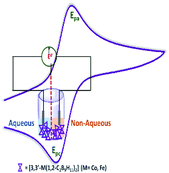 Graphical abstract: Potential application of metallacarboranes as an internal reference: an electrochemical comparative study to ferrocene