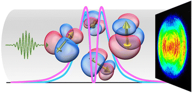 Graphical abstract: Dipole effects in the photoelectron angular distributions of the sulfur monoxide anion