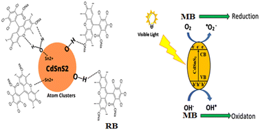 Graphical abstract: Development of high-performance bi-functional novel CdSnS2 atom clusters for adsorption of rose Bengal and AOP-assisted degradation of methylene blue