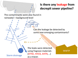 Graphical abstract: Detection of domestic-use chemicals in urban storm drains during dry days in a separated sewer area