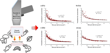 Graphical abstract: Determination of trace element concentrations in organic materials of “intermediate-thickness” via portable X-ray fluorescence spectrometry