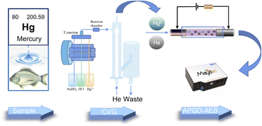 Graphical abstract: Ultra-sensitive determination of mercury by atmospheric pressure glow discharge atomic emission spectrometry coupled with cold vapor generation