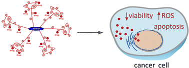 Graphical abstract: Drug delivery with a pH-sensitive star-like dextran-graft polyacrylamide copolymer