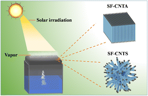 Graphical abstract: Extremely black carbon nanotube materials with three-dimensional networks for highly efficient solar-driven vapor generation