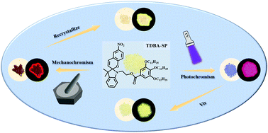 Graphical abstract: Dual-stimuli response of spiropyran derivative modified by long-chains: high-contrast photochromism and mechanochromism