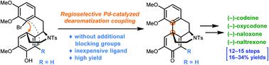 Graphical abstract: Concise total synthesis of opioids