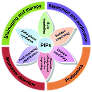 Graphical abstract: Recent advances in protein-imprinted polymers: synthesis, applications and challenges