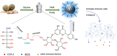 Graphical abstract: Glycine assists in efficient synthesis of herbal carbon dots with enhanced yield and performance