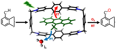 Graphical abstract: Visible light-mediated C (sp3)–H bond functionalization inside an all-organic nanocavity