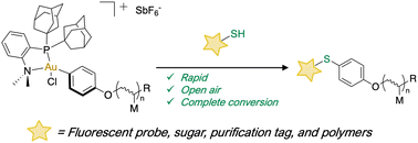 Graphical abstract: Efficient end-group functionalization and diblock copolymer synthesis via Au(iii) polymer reagents