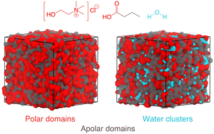 Graphical abstract: Bulk nanostructure of a deep eutectic solvent with an amphiphilic hydrogen bond donor