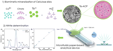 Graphical abstract: In situ biomimetic mineralization of a paper microfluidic device as a luminescent sensor for nitrite determination