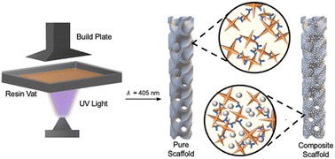 Graphical abstract: Influence of post-processing on the properties of 3D-printed poly(propylene fumarate) star polymer hydroxyapatite nanocomposites