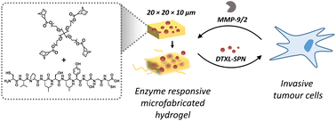 Graphical abstract: Matrix metalloproteinase responsive hydrogel microplates for programmed killing of invasive tumour cells