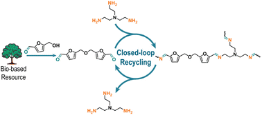 Graphical abstract: Closing the loop: polyimine thermosets from furfural derived bioresources