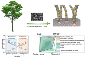 Graphical abstract: Enhanced polarization via Joule heating in wood-derived carbon materials for absorption-dominated EMI shielding