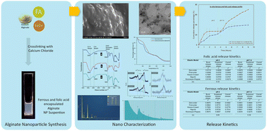 Graphical abstract: Novel alginate nanoparticles for the simultaneous delivery of iron and folate: a potential nano-drug delivery system for anaemic patients