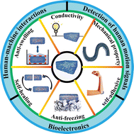 Graphical abstract: Functional conductive hydrogels: from performance to flexible sensor applications