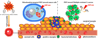 Graphical abstract: BODIPY-based photosensitizers with simultaneous photodynamic antitumor and antibacterial effects