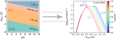 Graphical abstract: Origin of the superior oxygen reduction activity of zirconium nitride in alkaline media