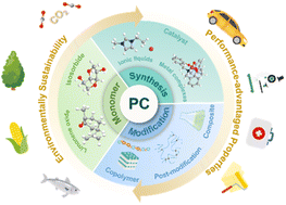 Graphical abstract: Bio-based polycarbonates: progress and prospects