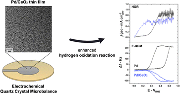 Graphical abstract: Fundamental insight into enhanced activity of Pd/CeO2 thin films in hydrogen oxidation reaction in alkaline media